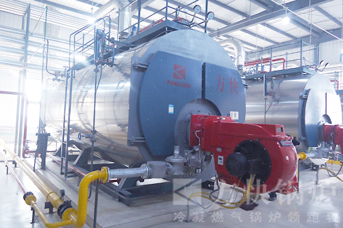 河北路易達(dá)孚飼料公司高效節(jié)能燃?xì)庹羝仩t應(yīng)用案例