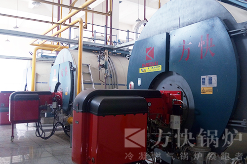 河北達利園食品加工高效節能燃氣蒸汽鍋爐應用案例