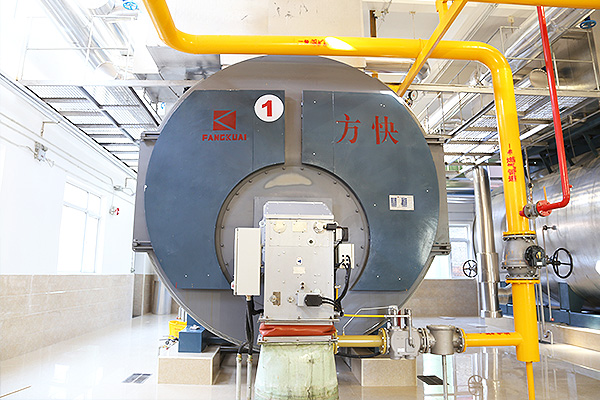 利民制藥有限公司4噸一體燃氣蒸汽鍋爐應用案例