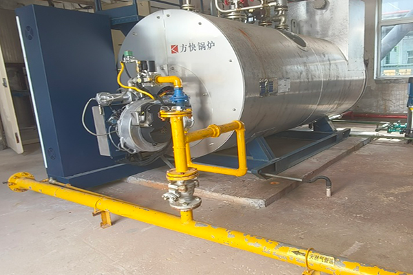 天津某食品有限公司使用兩臺1噸蒸汽鍋爐