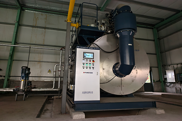 邯鄲某新材料科技有限公司使用NWNS6-1.25-Q案例