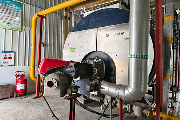 河南某能源環保公司使用方快鍋爐一臺4噸燃氣蒸汽鍋爐