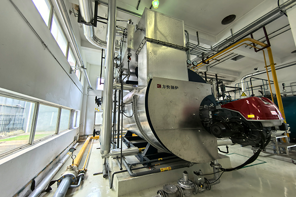 廣州某藥業公司使用一臺6噸燃氣蒸汽鍋爐案例