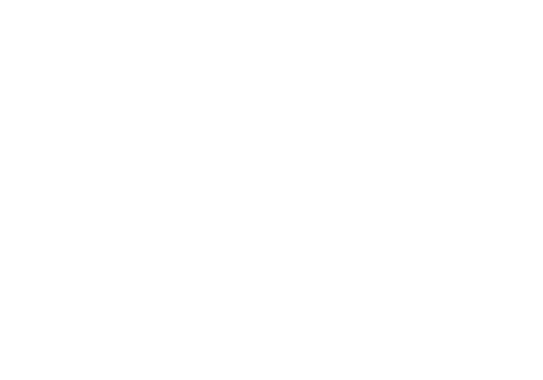 全預混低氮冷凝蒸汽鍋爐-歐睿6