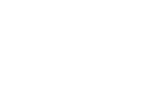 高壓電極真空鍋爐